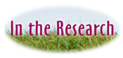 In The Research