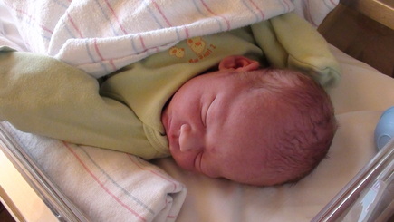 Dominic