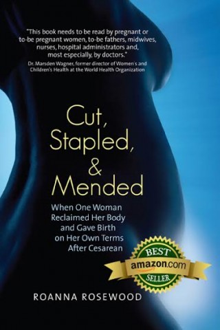 Cut, Stapled, and Mended by Roanna Rosewood 